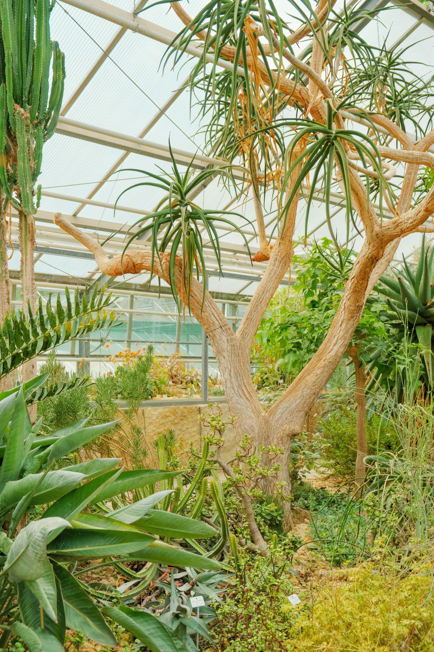 Creating A Lush Mythical Oasis At Home