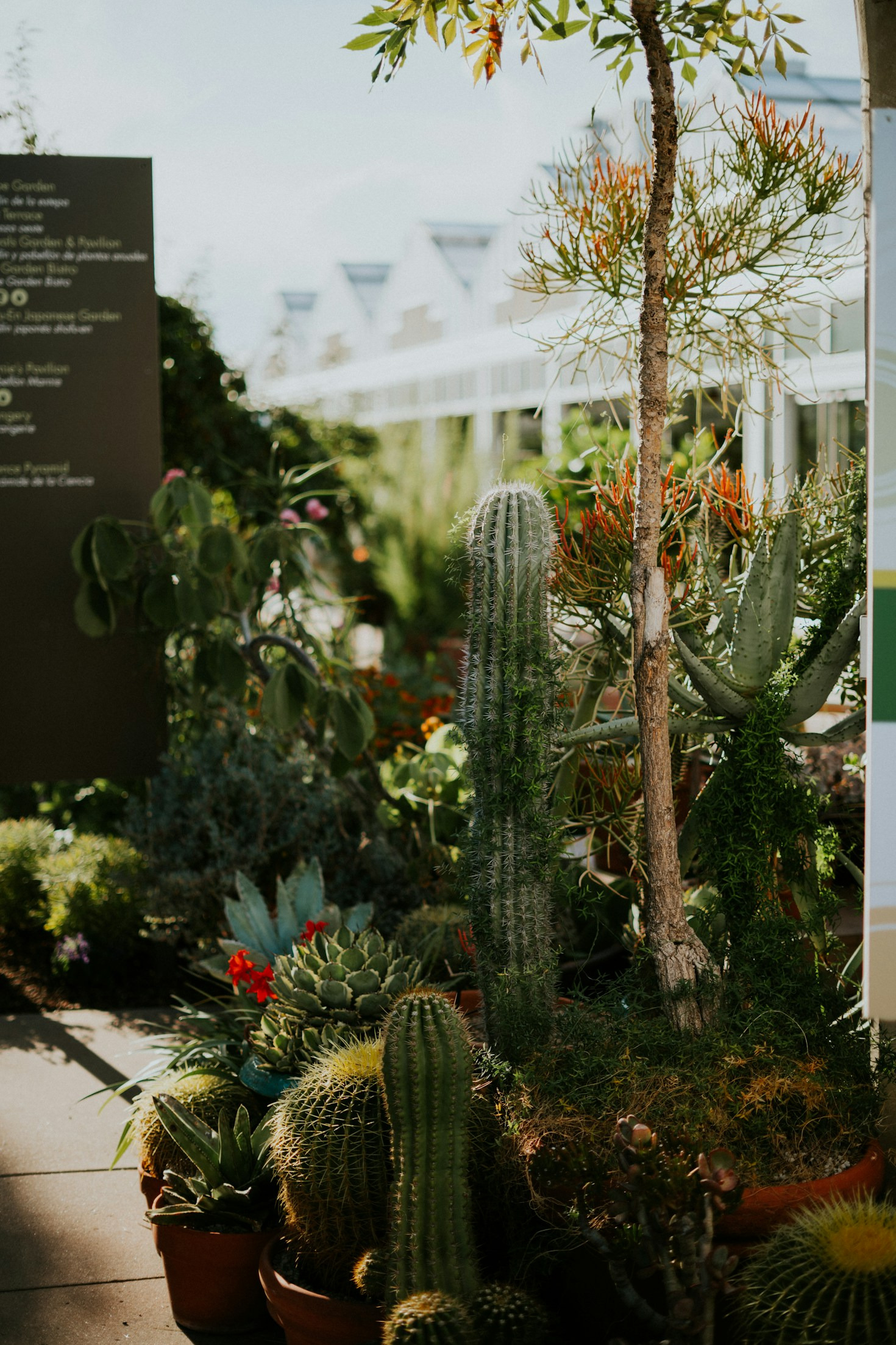 Watering Strategies For Your Arid Tropical Garden