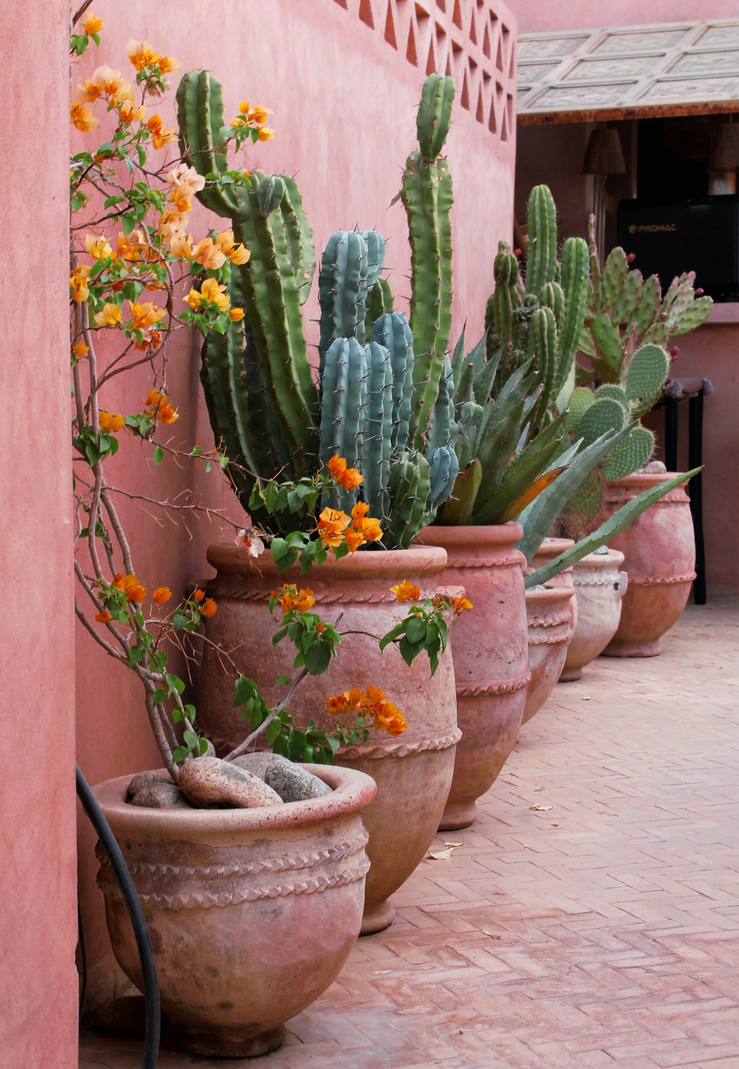 Gardening Tips For Vibrant Year Round Color